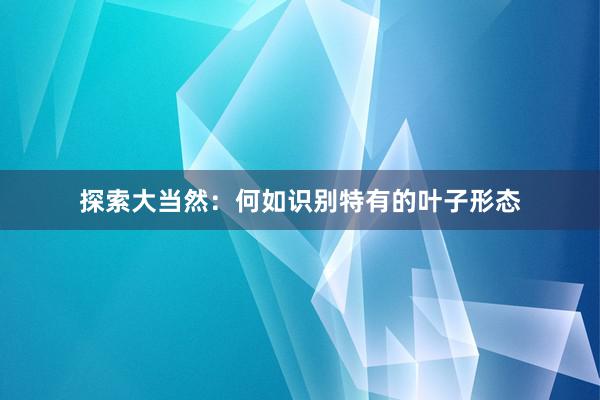 探索大当然：何如识别特有的叶子形态